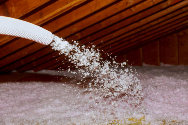 Best Blown-in Insulation in Grenelefe, FL