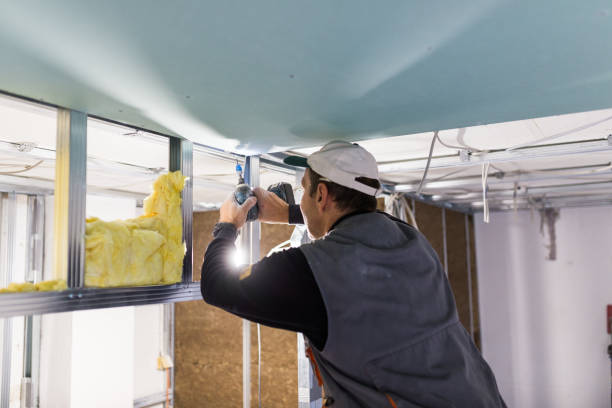 Best Spray Foam Insulation in Grenelefe, FL