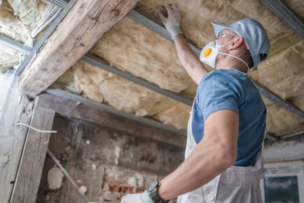 Best DIY Insulation Kits and Guidance in Grenelefe, FL