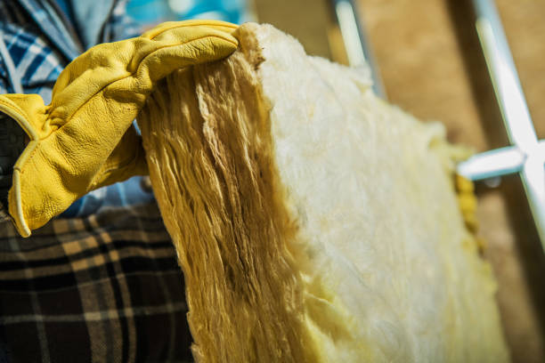 Best Cellulose Insulation in Grenelefe, FL