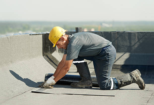 Best Cellulose Insulation in Grenelefe, FL